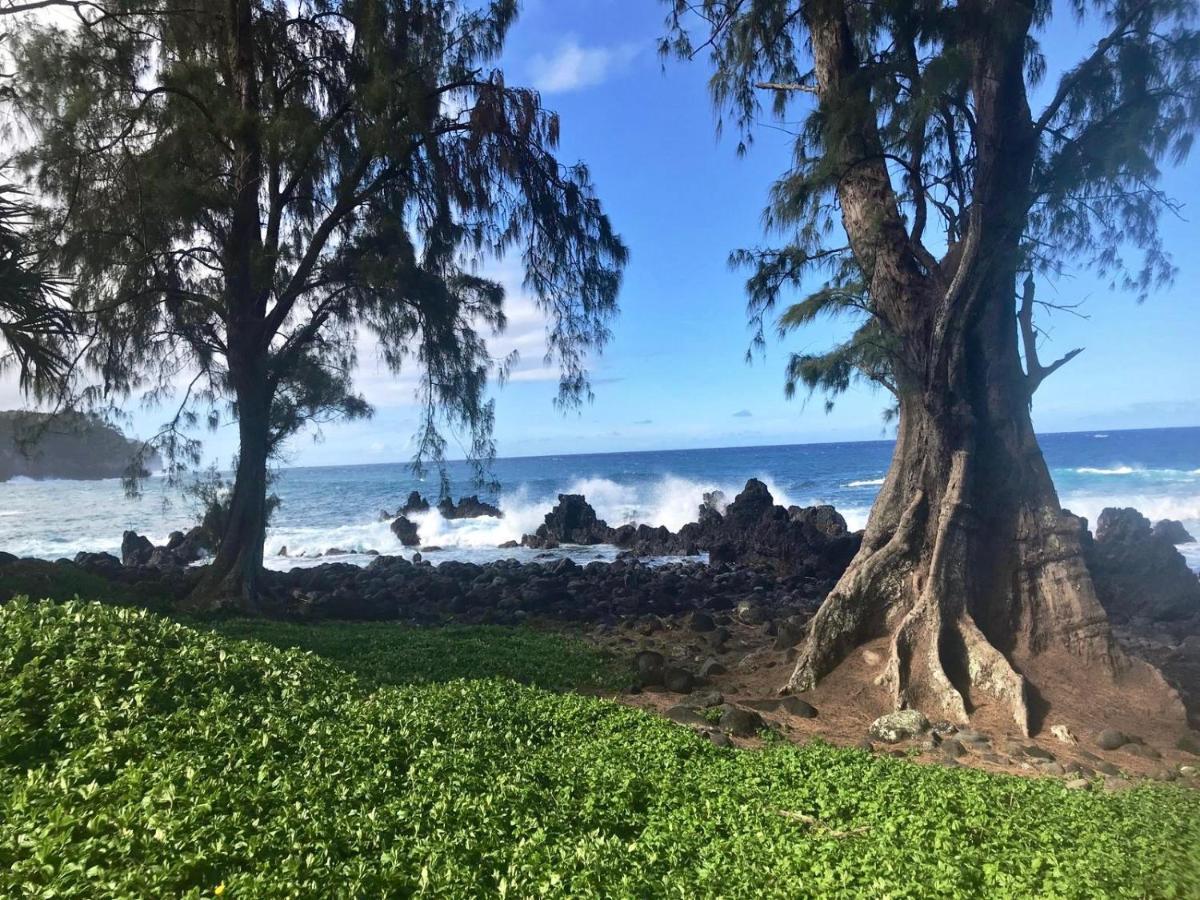 Unwind On Your Fantasy Hawaiian Vacation- 1Bd/1Ba Condo In Kailua-Kona, Hawaii Exterior foto
